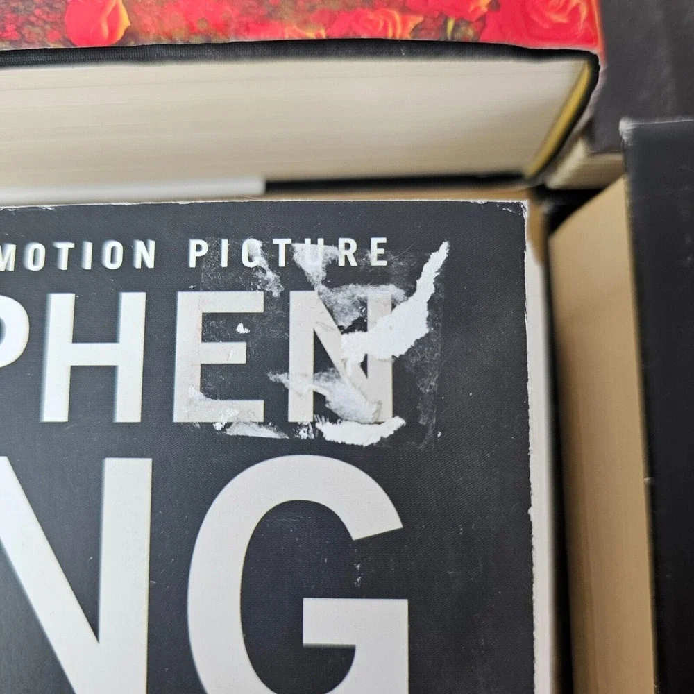Stephen King dive into